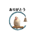 文鳥のひとりごとby kikiのことりスタンプ（個別スタンプ：2）