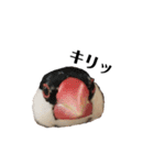 文鳥のひとりごとby kikiのことりスタンプ（個別スタンプ：23）