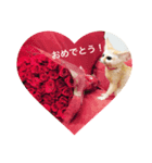 フェネックてつおの使いやすい挨拶スタンプ（個別スタンプ：6）