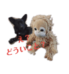 毎日つかえるわんこスタンプ（個別スタンプ：8）