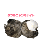 あずき＆チャチャ スタンプ（個別スタンプ：4）