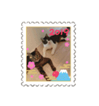 あずき＆チャチャ スタンプ（個別スタンプ：32）