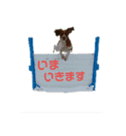 ブリタニースパニエル フリップ（個別スタンプ：8）