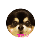 まろまろジョイくん（個別スタンプ：14）