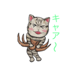 根っこネコ（個別スタンプ：3）