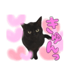 クロねこ スタンプ❤︎（個別スタンプ：1）