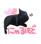 クロねこ スタンプ❤︎（個別スタンプ：2）