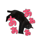 クロねこ スタンプ❤︎（個別スタンプ：6）