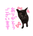 クロねこ スタンプ❤︎（個別スタンプ：10）