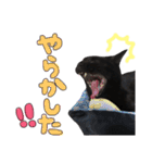 クロねこ スタンプ❤︎（個別スタンプ：23）