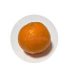 みかんから一言。（個別スタンプ：6）
