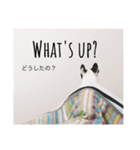 Walnut bread  3（個別スタンプ：10）