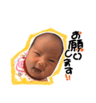 R兄妹（個別スタンプ：33）