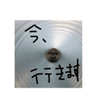 日常で使えるマロンちゃん（個別スタンプ：5）