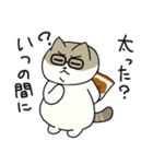 ふくよか猫ちゃんのつぶやき（個別スタンプ：13）