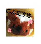 どら焼きモルモットのひなた（個別スタンプ：1）