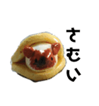 どら焼きモルモットのひなた（個別スタンプ：9）
