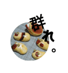 どら焼きモルモットのひなた（個別スタンプ：15）
