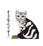 猫竹A（個別スタンプ：13）