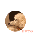 patoharutotelau（個別スタンプ：2）