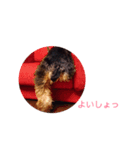 patoharutotelau（個別スタンプ：7）