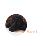 patoharutotelau（個別スタンプ：8）