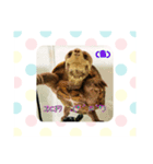 2018年のまとめ愛亀ミシニのmitoちゃん（個別スタンプ：7）