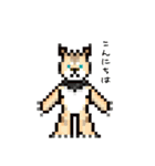 おでかけ DINGOくん（個別スタンプ：1）