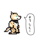 おでかけ DINGOくん（個別スタンプ：3）