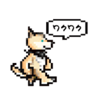 おでかけ DINGOくん（個別スタンプ：6）