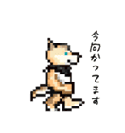 おでかけ DINGOくん（個別スタンプ：9）
