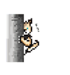 おでかけ DINGOくん（個別スタンプ：13）