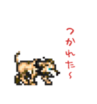 おでかけ DINGOくん（個別スタンプ：18）
