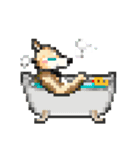おでかけ DINGOくん（個別スタンプ：22）