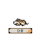 おでかけ DINGOくん（個別スタンプ：30）