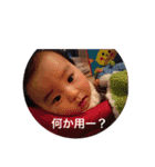 かわいいはるたんの日常スタンプ（個別スタンプ：5）