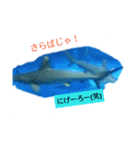 イルカ大好き‼️（個別スタンプ：8）
