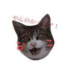 俺、ちゅる（個別スタンプ：4）