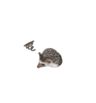 ハリ ネズミ（個別スタンプ：5）
