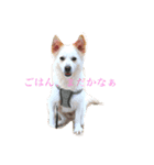 高尾ビンス＆メロ（個別スタンプ：2）