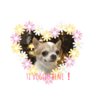 イタリア語❤︎Pico e criceto❤︎（個別スタンプ：3）