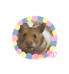 イタリア語❤︎Pico e criceto❤︎（個別スタンプ：6）
