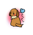 まめ犬たろう（個別スタンプ：2）