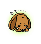 まめ犬たろう（個別スタンプ：5）
