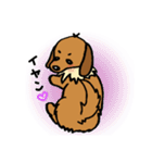 まめ犬たろう（個別スタンプ：6）