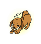 まめ犬たろう（個別スタンプ：7）
