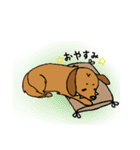 まめ犬たろう（個別スタンプ：8）