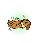 まめ犬たろう（個別スタンプ：10）