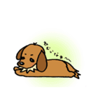 まめ犬たろう（個別スタンプ：11）