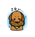 まめ犬たろう（個別スタンプ：13）